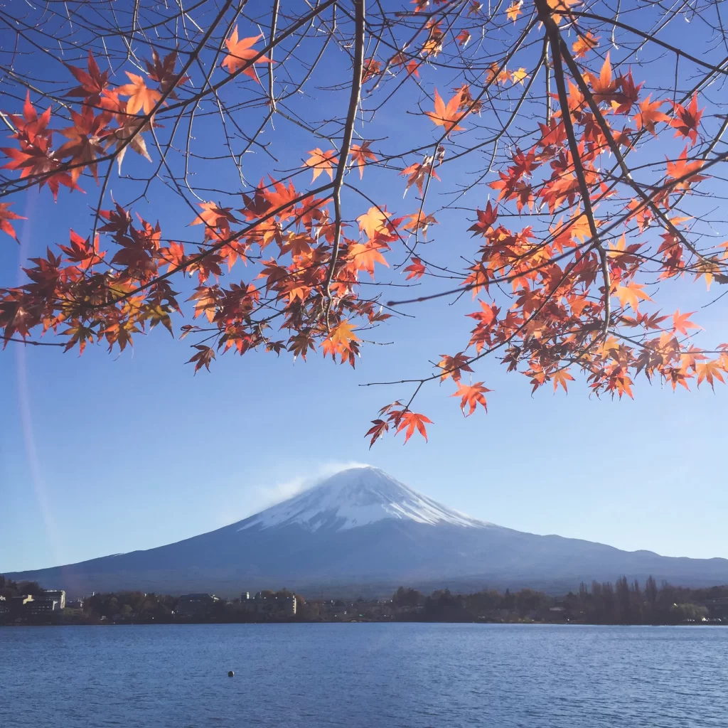 Japan Travel Guide – Best 11 Days Holiday Tour with Top Attractions